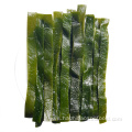Laminaria de tira de algas marinas saladas de algas premiun